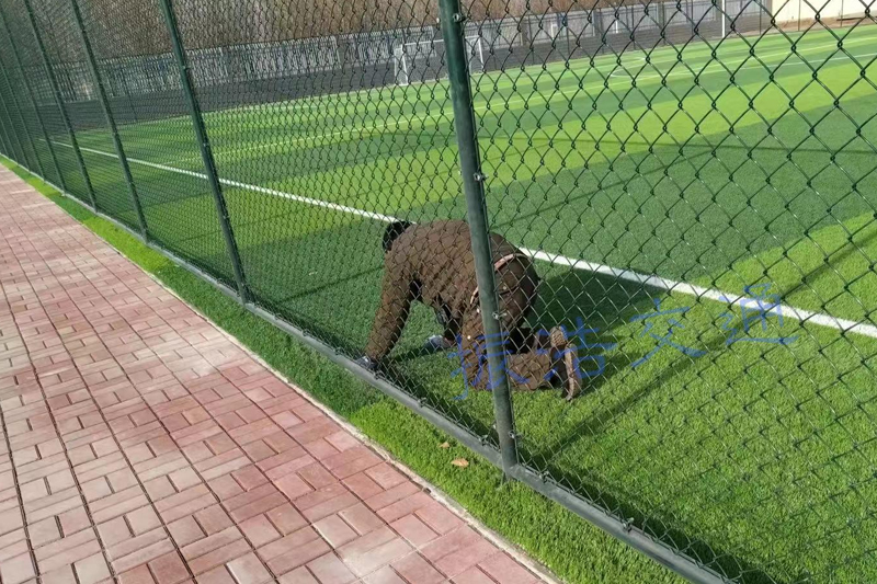 Recinzione dello stadio